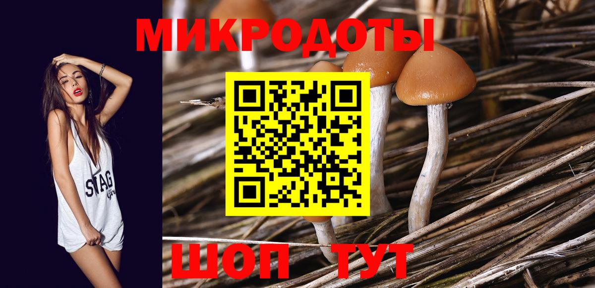 Балашов  Галлюциногенные грибы Cubensis  Псилоцибиновые грибы Cubensis  Вход с VPN 